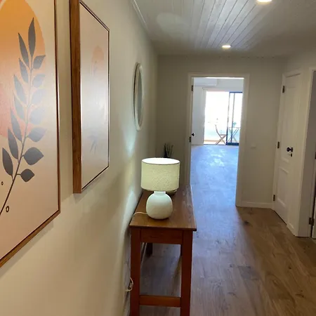 Torga 阿尔布费拉